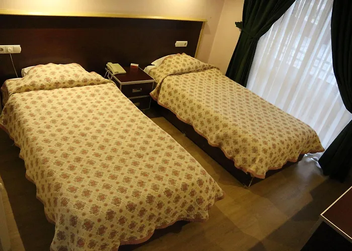 Metropolis 酒店 3*